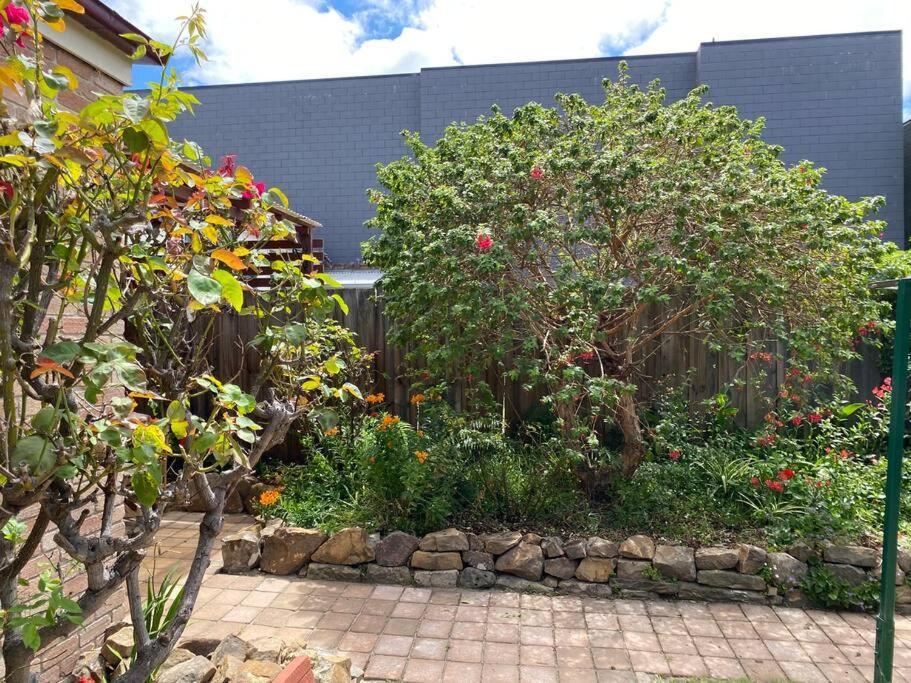 Campbell St Cottage, Cbd *