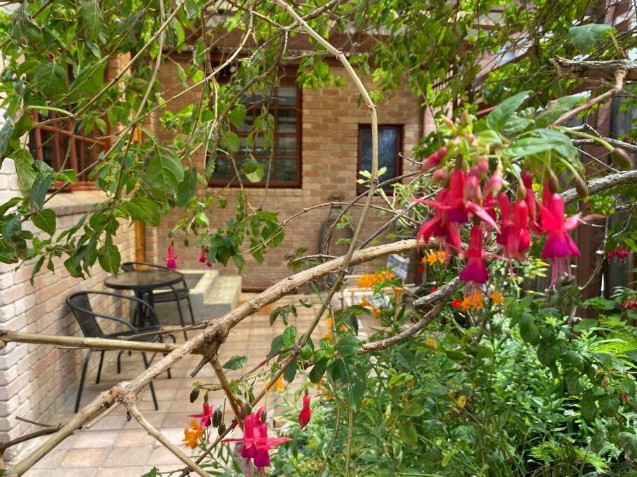 Campbell St Cottage, Cbd *